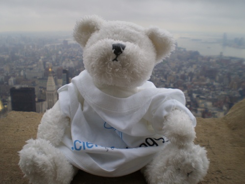 Scientific Blogging Bloggy at the Empire State Building